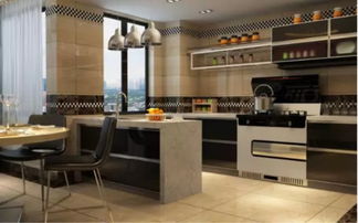 板川集成灶用戶指南 不請(qǐng)?jiān)O(shè)計(jì)師，廚房裝修如何專業(yè)又省錢